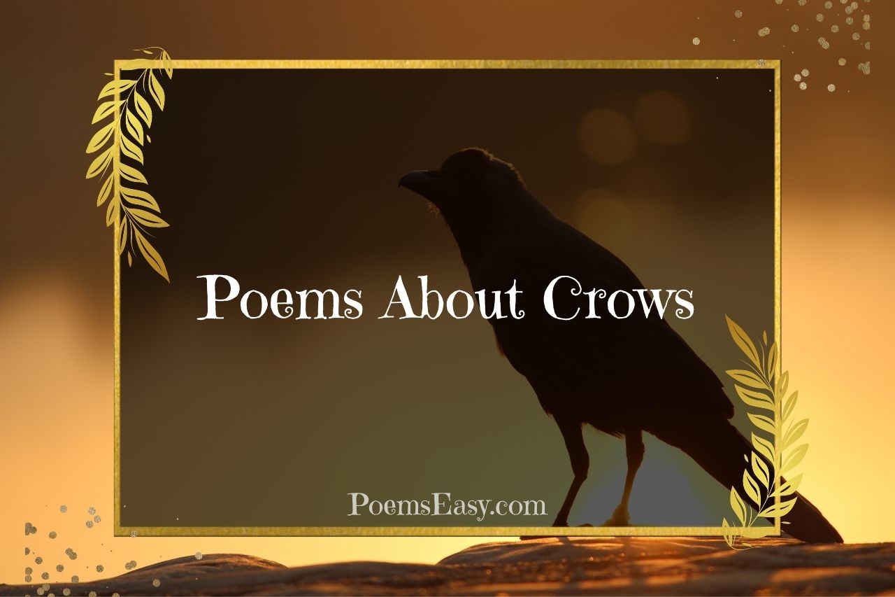 poems about crows