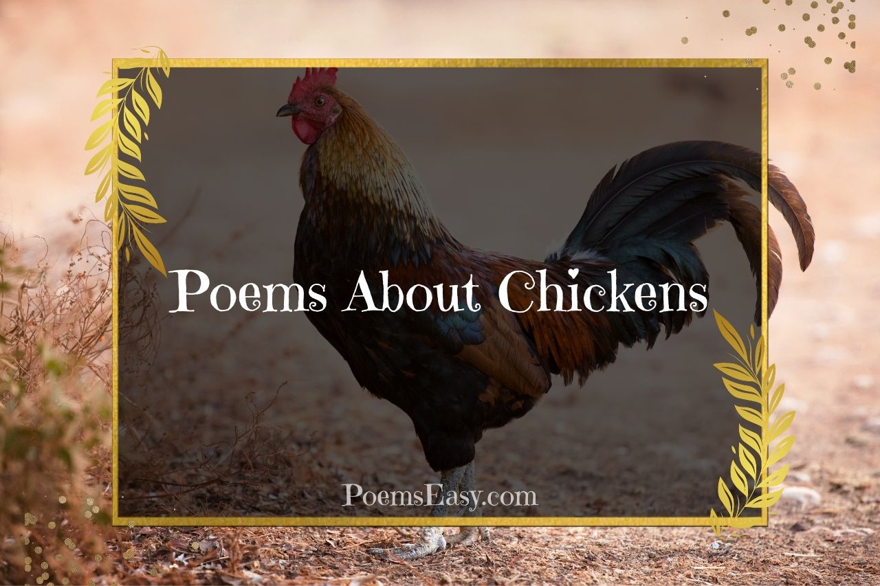 Poems About Chickens