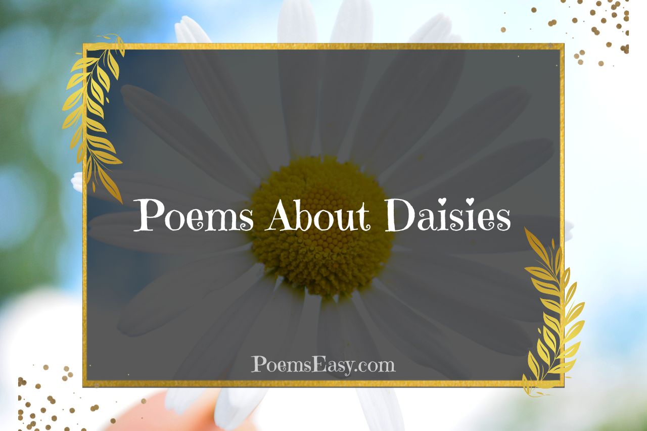Poems About Daisies