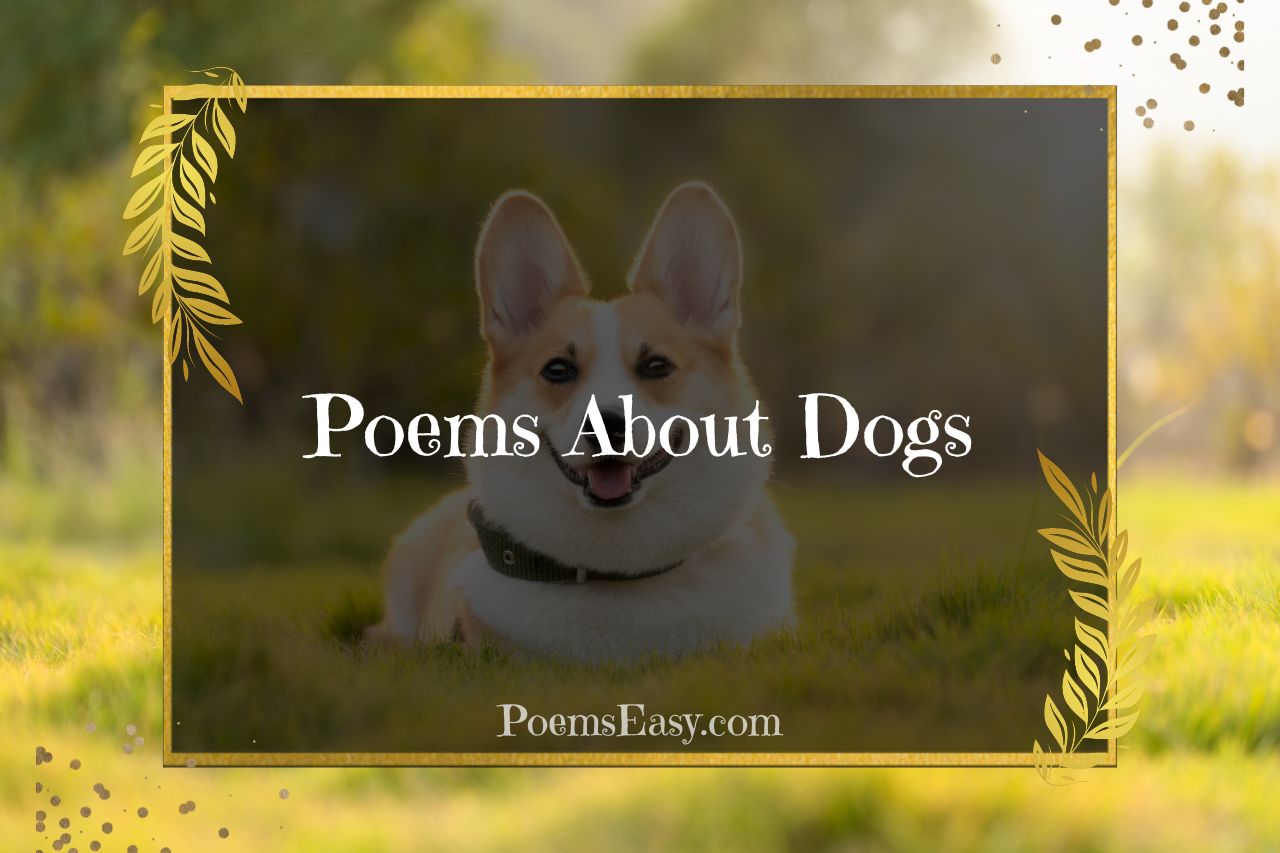 Poems About Dogs