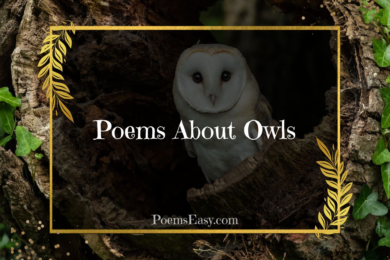 poems about owls